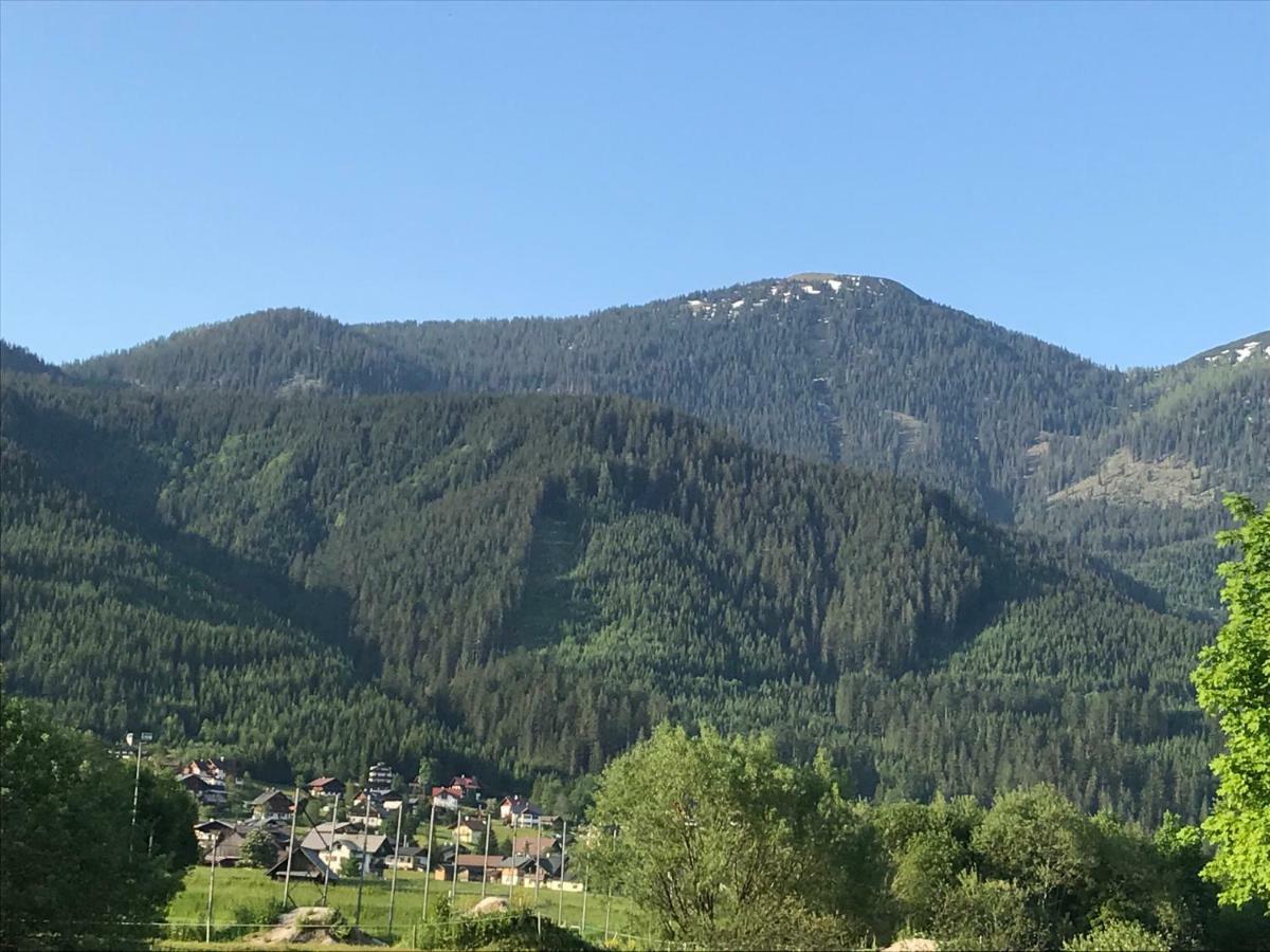 גוסאו Hallstatt Dachstein Inn מראה חיצוני תמונה